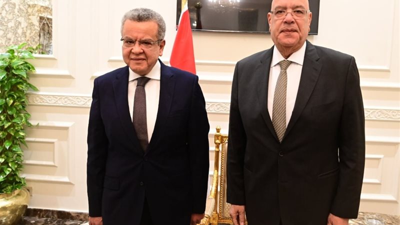 المستشار هشام بدوي