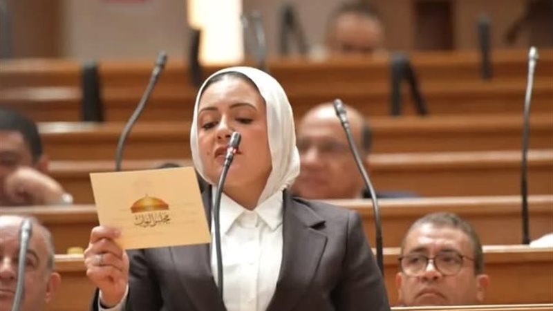  النائبة ريهام عبد