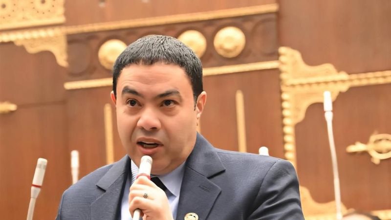 النائب إسماعيل الشرقاوي