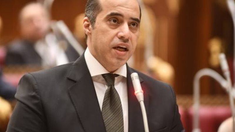 المستشار محمود فوزي