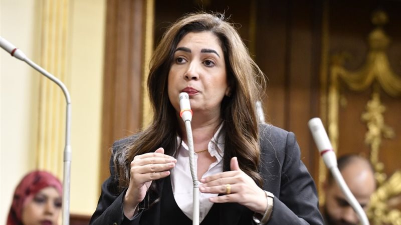 النائبة أميرة العادلي