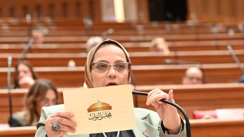 النائبة نجلاء العسيلي