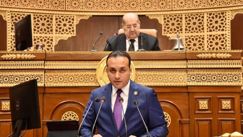 النائب عمرو فهمي