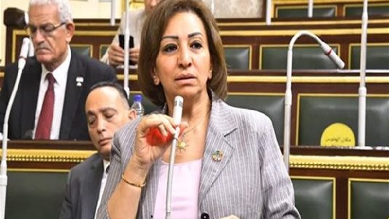 النائبة الدكتورة