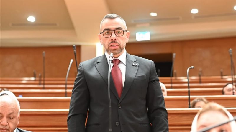 النائب محمد فؤاد