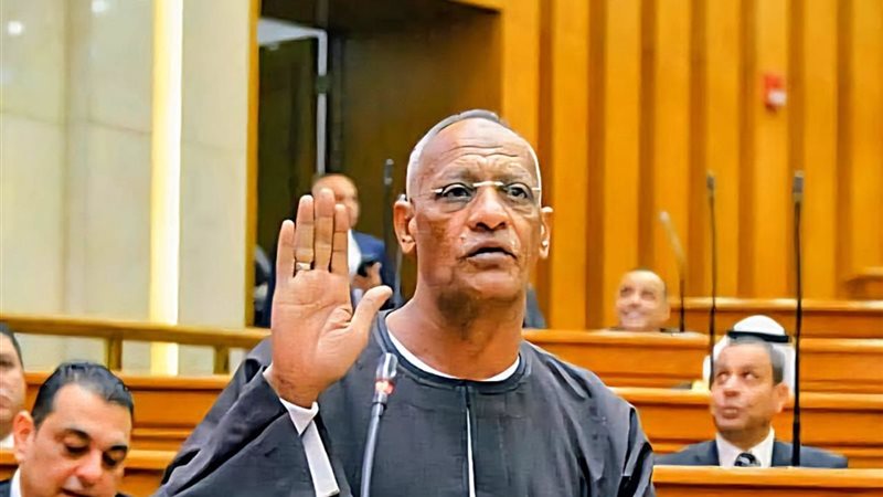 النائب مدحت ركابي