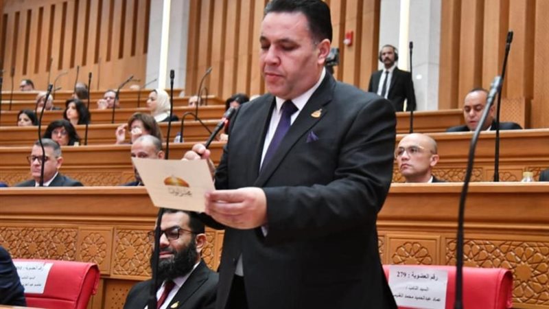 النائب عماد الغنيمي