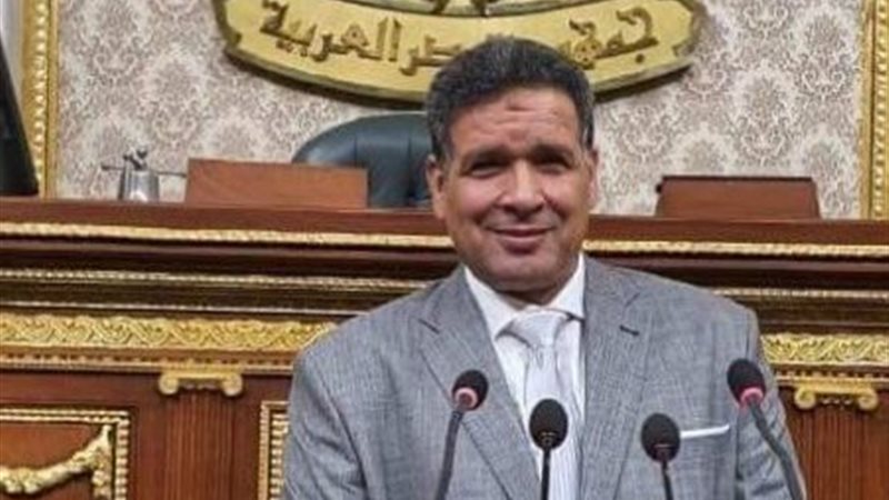 النائب عصام العمدة