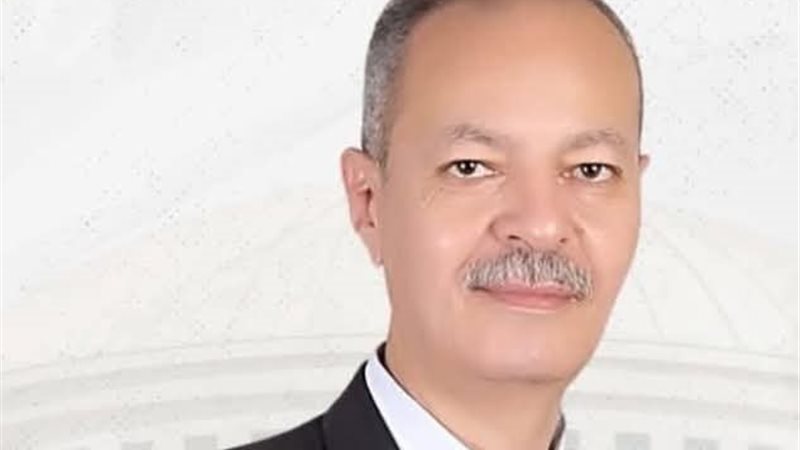 النائب حسن غيته