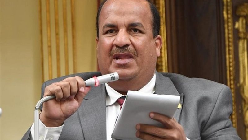 الدكتور محمد عبد