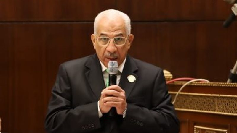 النائب مجدي سليم