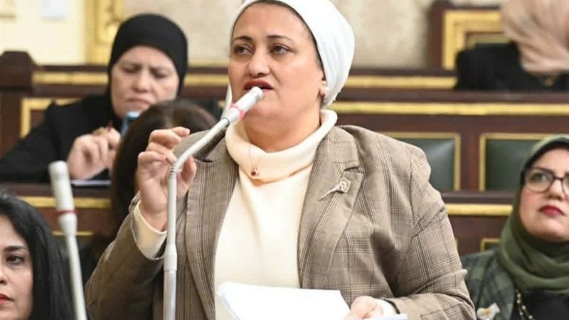  النائبة سناء السعيد