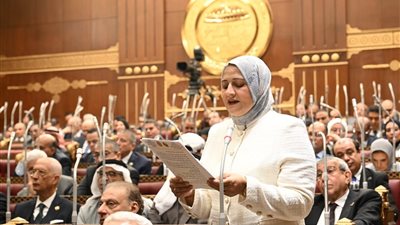 برلمانية تطالب بإنشاء شبكة معلوماتية وطنية للأطفال دون سن الرابعة عشرة