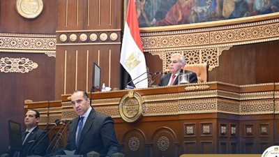 المستشار محمود فوزي يوضح سياسة الحكومة لحماية الأطفال من مخاطر الإنترنت