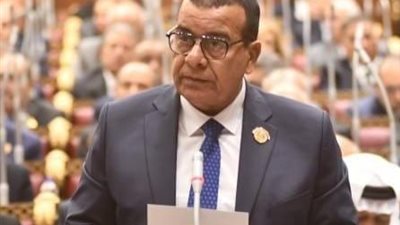 برلماني: توجيهات الرئيس السيسي تؤكد ضرورة حماية الأطفال في العصر الرقمي 