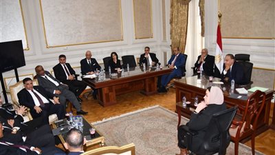 لجنة الشئون الخارجية بالشيوخ تناقش السياسة الخارجية والقضايا الإقليمية