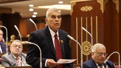 رئيس مجلس الشيوخ: ليلة النصف من شعبان مناسبة لتجديد العهد بالطاعة 