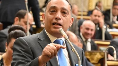 البياضي: «صحة المصريين خط أحمر… والمصريين مش فئران تجارب»