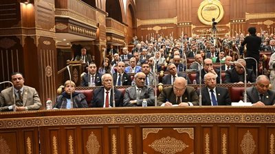 مجلس الشيوخ 