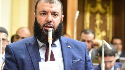 نواب: تطوير قانون المهن الرياضية أصبح «فرض عين» بعد 39 عامًا دون تحديث