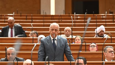 النائب مصطفي بكري 