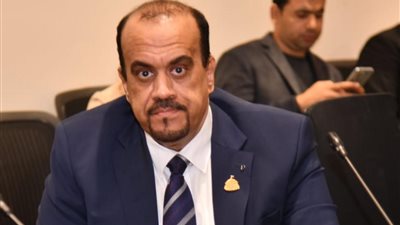 النائب إيهاب إمام، 