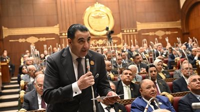 رئيس برلمانية المؤتمر بالشيوخ: حماية النشء رقميًا أمر لا يحتمل التأجيل