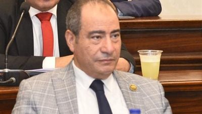 النائب مجاهد نصار 