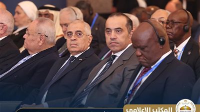 المستشار محمود فوزي 