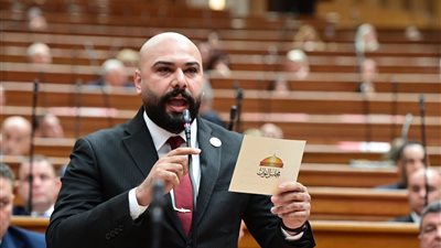  النائب إبراهيم الديب 