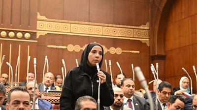 ولاء هرماس تطالب بإجراءات عاجلة لحماية الأطفال من مخاطر الإنترنت