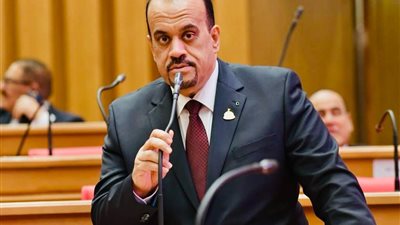 إيهاب إمام: الحكومة أمام اختبار حقيقي لتحقيق طموحات الشعب وتكليفات الرئيس