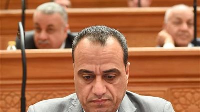 النائب ممدوح جاب الله 