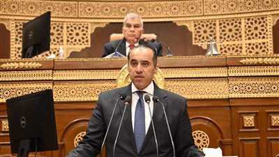 محمود فوزي:إعداد مشروع قانون وإحالته للجان المختصة لمناقشته لحماية الأطفال