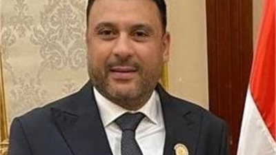 عمر الغنيمي: التعديل الوزاري بتوجيهات السيسي يعكس إرادة سياسية للتطوير