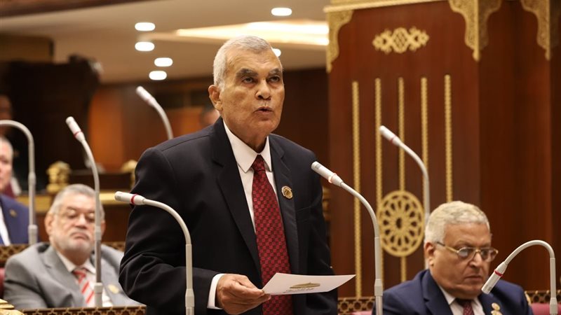 المستشار عصام الدين