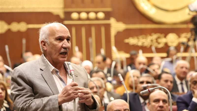 النائب سيد عبد العال