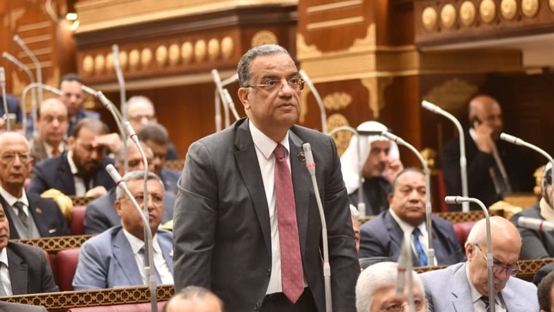 النائب محمود مسلم