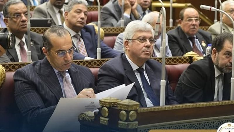 وزير الشؤون النيابية