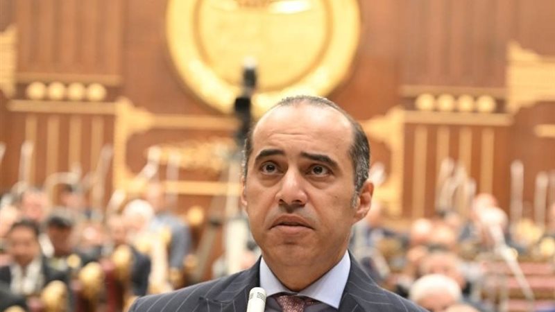 المستشار محمود فوزي