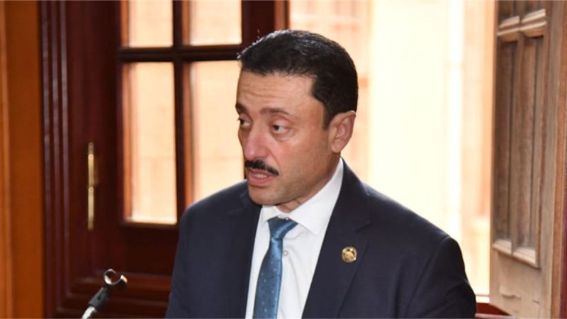 النائب محمد رزق