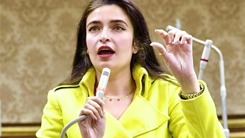 النائبة الدكتورة