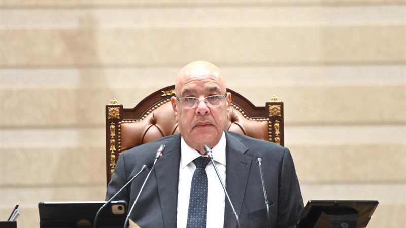  المستشار هشام بدوي