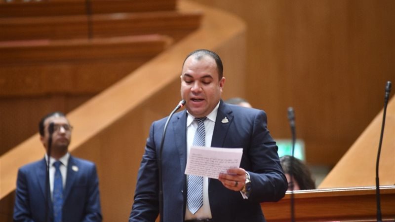 النائب أحمد عصام