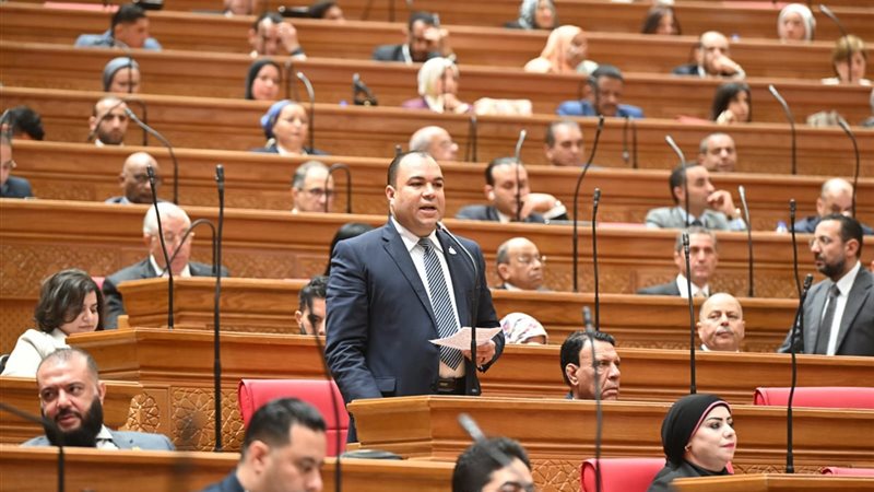  النائب محمود شعلان