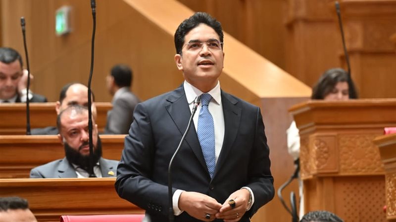 النائب ضياء الدين