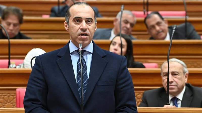 المستشار محمود فوزي