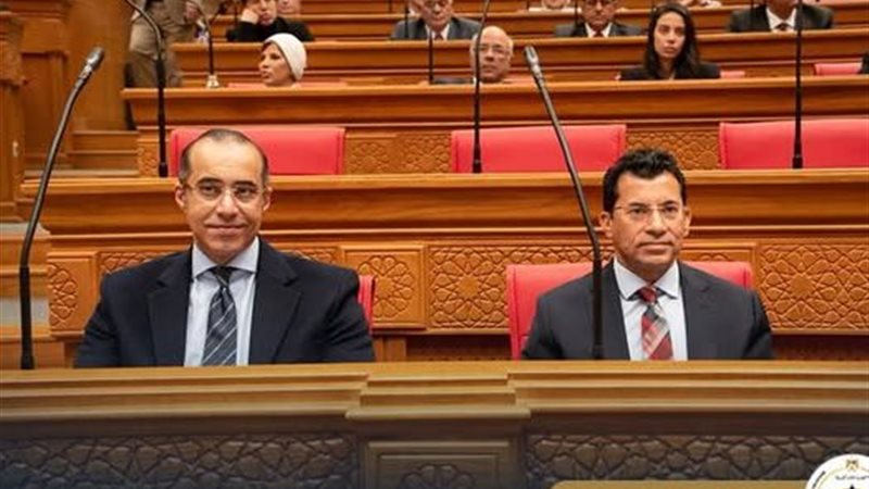 المستشار محمود فوزي