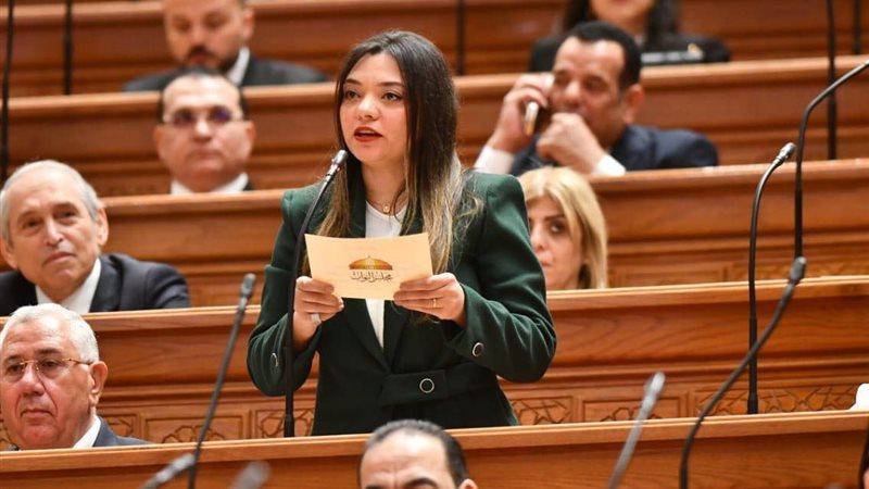 النائبة مي كرم جبر