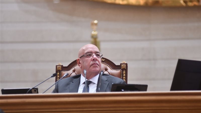 المستشار هشام بدوي